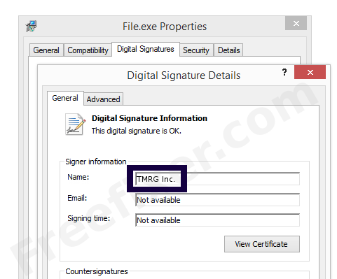Screenshot of the TMRG Inc. certificate